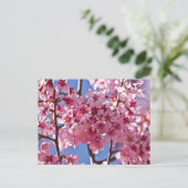 Sakura Kersenbloesems Rode Sterren Briefkaart (Staand voorkant)