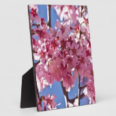 Sakura Kersenbloesems Rode Sterren Fotoplaat (Zijkant)