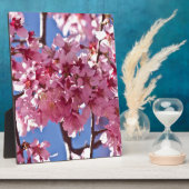 Sakura Kersenbloesems Rode Sterren Fotoplaat (Zijkant)