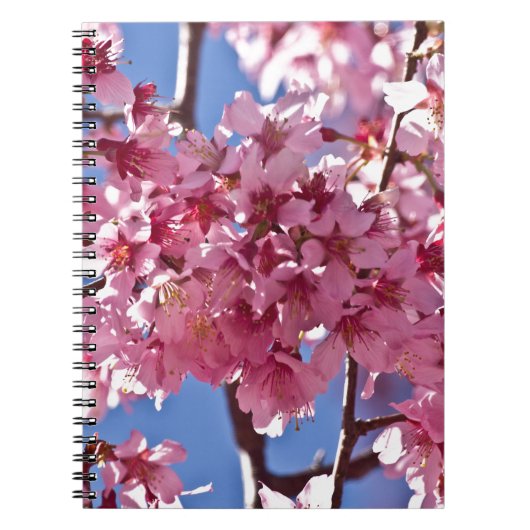 Sakura Kersenbloesems Rode Sterren Notitieboek (Voorkant)