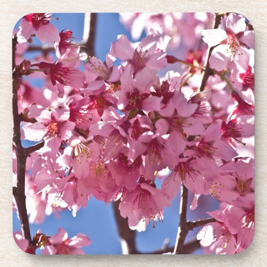 Sakura Kersenbloesems Rode Sterren Onderzetter (Voorkant)