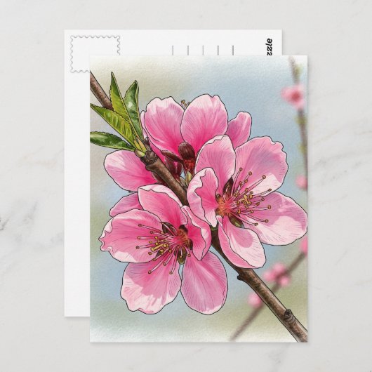 Sakura Kersenboom Bloeiende Ansichtkaart Postcross Briefkaart (Voorkant / Achterkant)