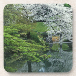 Sakura, Koishikawa Koraku-en tuin, Tokio, Drankjes Onderzetter