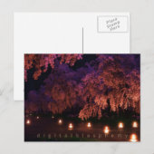 Sakura (nacht) briefkaart (Voorkant / Achterkant)