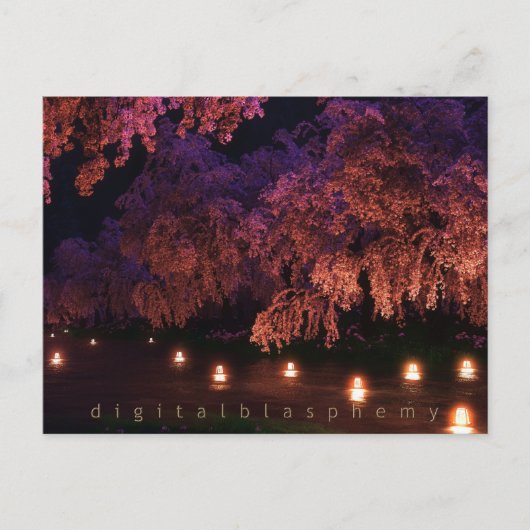 Sakura (nacht) briefkaart (Voorkant)