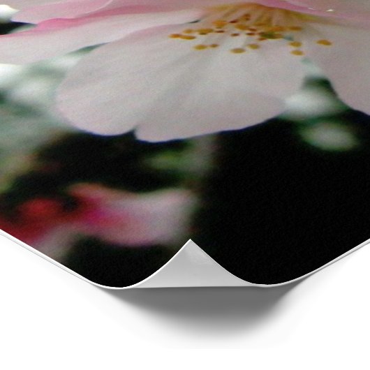 Sakura/Oriental Double Happiness Wedding Gift Poster (Hoek)