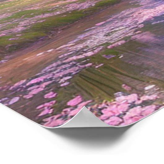 Sakura Petals op het water Poster (Hoek)