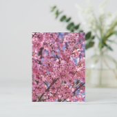 Sakura Pink Cherry Blossom Sky Briefkaart (Staand voorkant)