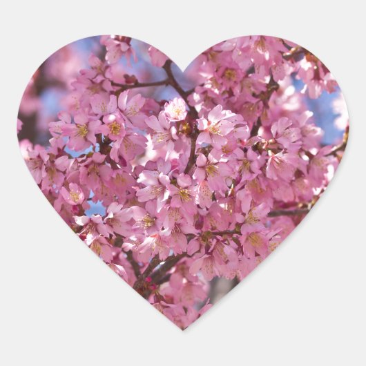 Sakura Pink Cherry Blossom Sky Hart Sticker (Voorkant)