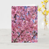 Sakura Pink Cherry Blossom Sky Kaart (Gele Bloem)
