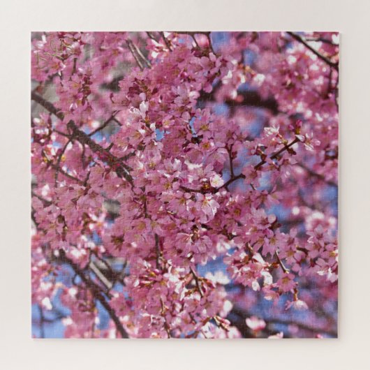 Sakura Pink Cherry Blossom Sky Legpuzzel (Horizontaal)