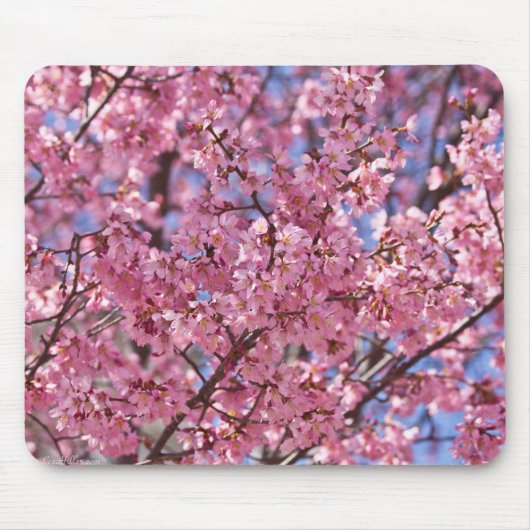 Sakura Pink Cherry Blossom Sky Muismat (Voorkant)