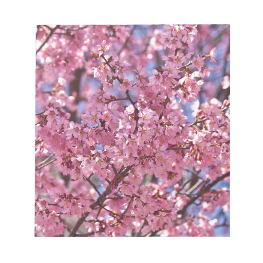 Sakura Pink Cherry Blossom Sky Notitieblok (Voorkant)