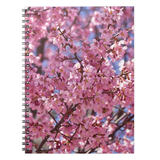 Sakura Pink Cherry Blossom Sky Notitieboek (Voorkant)