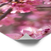 Sakura Pink Cherry Blossom Sky Poster (Hoek)