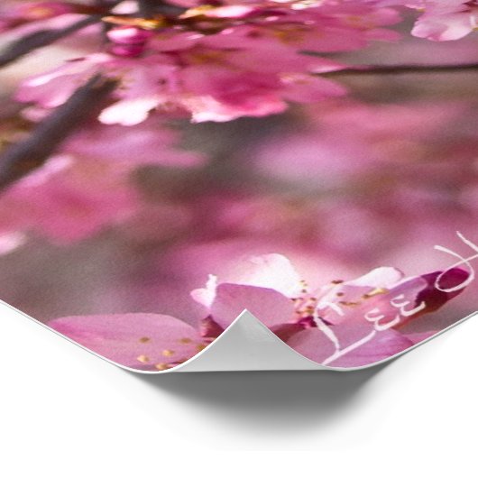 Sakura Pink Cherry Blossom Sky Poster (Hoek)