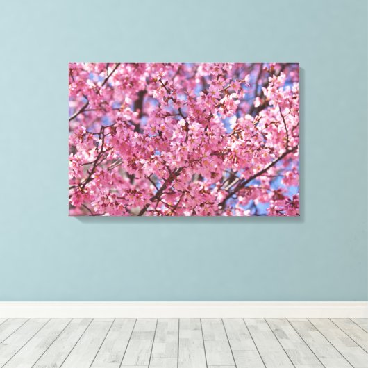 Sakura Pink Cherry Blossom Sky Poster Canvas Afdruk (Insitu (Houten vloer))