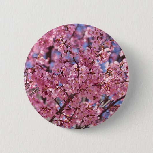 Sakura Pink Cherry Blossom Sky Ronde Button 5,7 Cm (Voorkant)