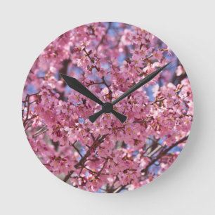 Sakura Pink Cherry Blossom Sky Ronde Klok