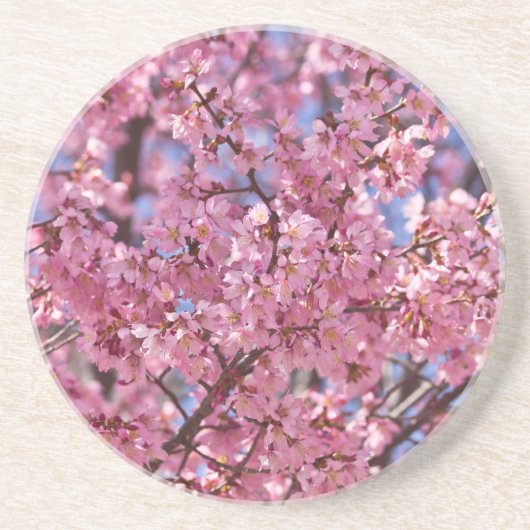 Sakura Pink Cherry Blossom Sky Zandsteen Onderzetter (Voorkant)