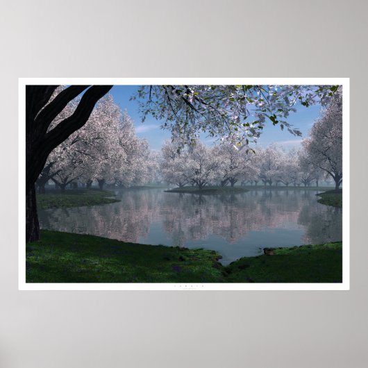 Sakura Poster (Voorkant)