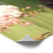 Sakura Poster (Hoek)
