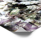 Sakura Poster (Hoek)