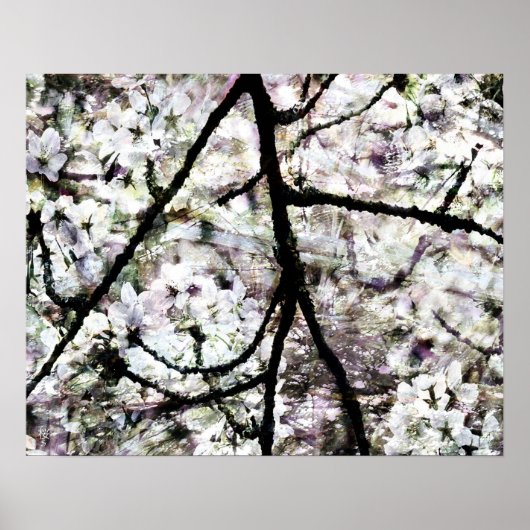 Sakura Poster (Voorkant)