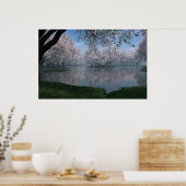 Sakura Poster (Keuken)