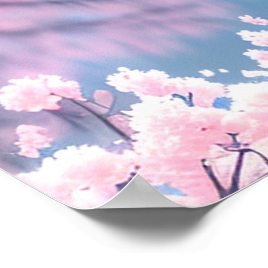 Sakura Poster (Hoek)