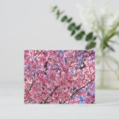 Sakura Roze Kersenbloesem Hemel Briefkaart (Staand voorkant)