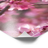Sakura Roze Kersenbloesem Hemel Foto Afdruk (Hoek)