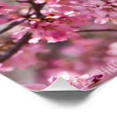 Sakura Roze Kersenbloesem Hemel Perfect Poster (Hoek)