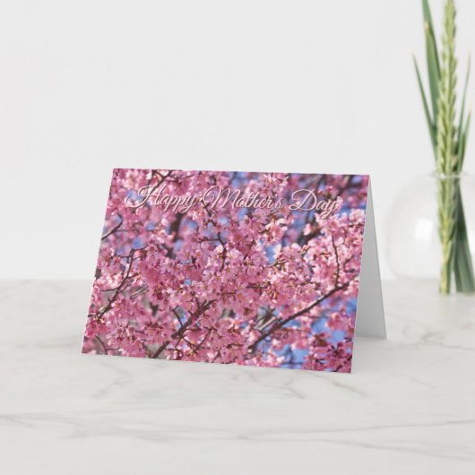 Sakura Roze Kersenbloesem Hemel Poster Kaart (Voorkant)