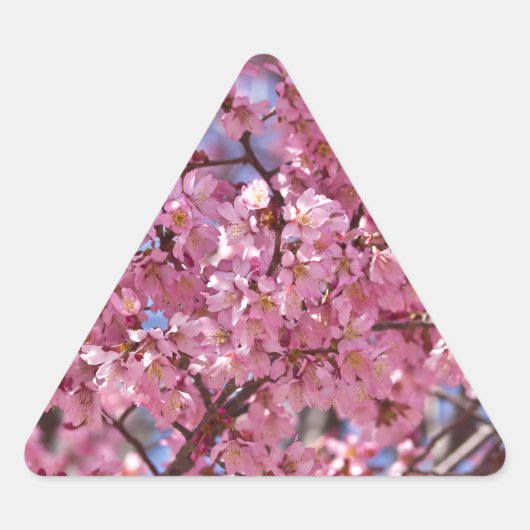 Sakura Roze Kersenbloesem Hemel Sticker (Voorkant)