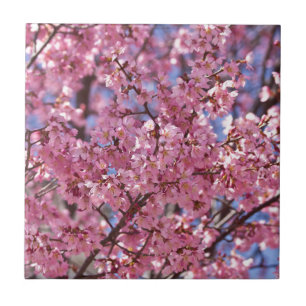 Sakura Roze Kersenbloesem Hemel Tegeltje