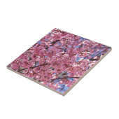 Sakura Roze Kersenbloesem Hemel Tegeltje (Zijkant)