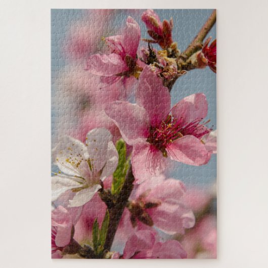 Sakura Splendor: Roze Japanse Bloemfotografie Legpuzzel (Verticaal)
