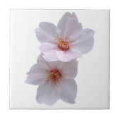 Sakura Tegeltje (Voorkant)