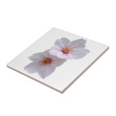 Sakura Tegeltje (Zijkant)