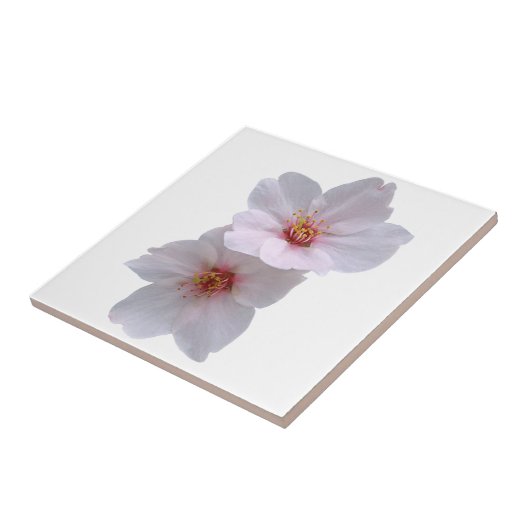 Sakura Tegeltje (Zijkant)