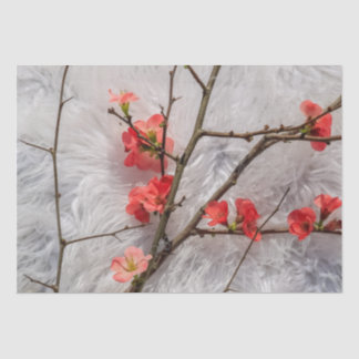 Sakura Tissuepapier