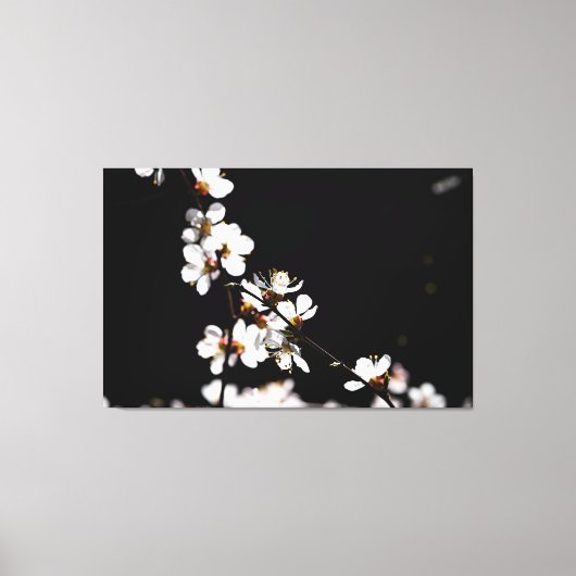 Sakurbloemen Canvas Afdruk (Voorkant)