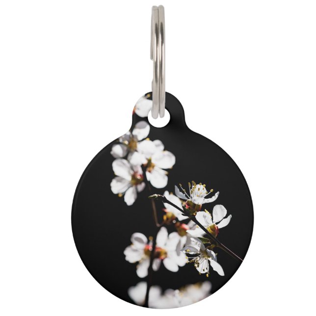 Sakurbloemen Huisdierpenning (Voorkant)