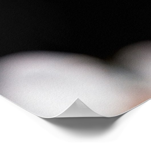 Sakurbloemen Poster (Hoek)