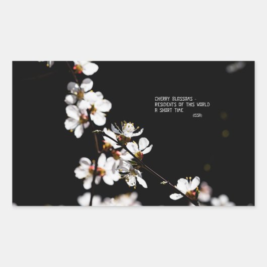 Sakurbloemen Rechthoekige Sticker (Voorkant)