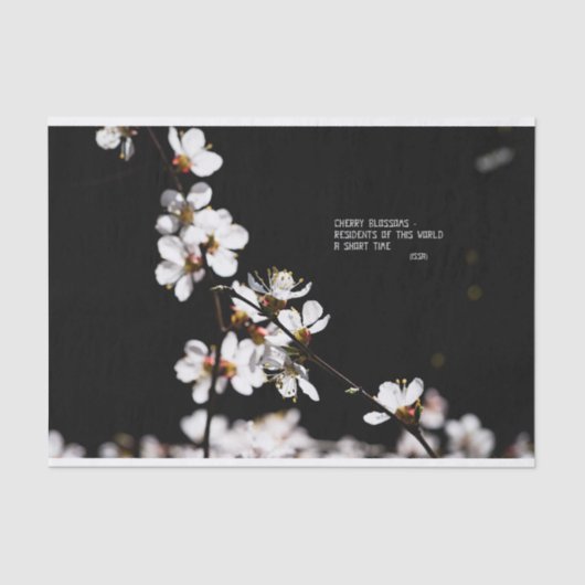 Sakurbloemen Tissuepapier (Voorkant)