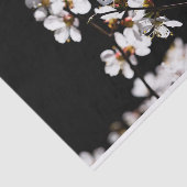 Sakurbloemen Tissuepapier (Detail)