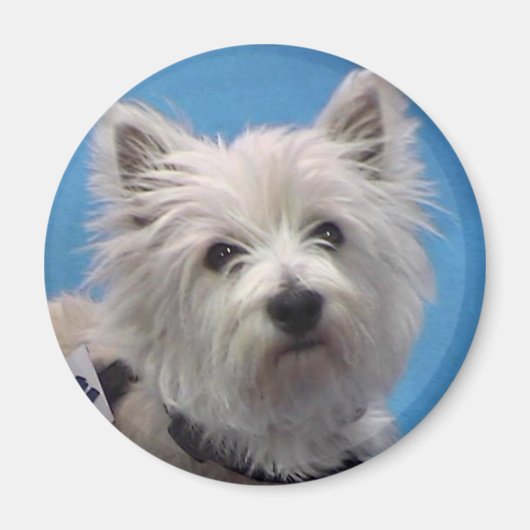 Sal Magneet (Voorkant)