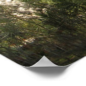 Sala Keo Kou, Nong Khai, Thailand Poster (Hoek)